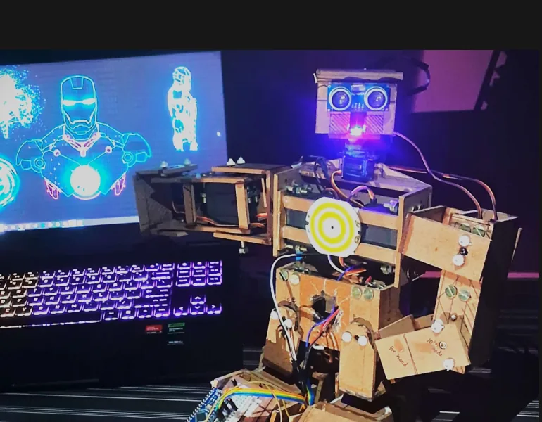 16 DOF Humanoid Robot